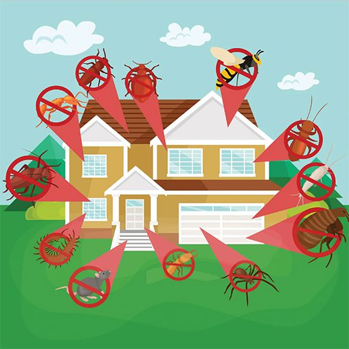 D.A.R.N. Pest Control Services Inc.
